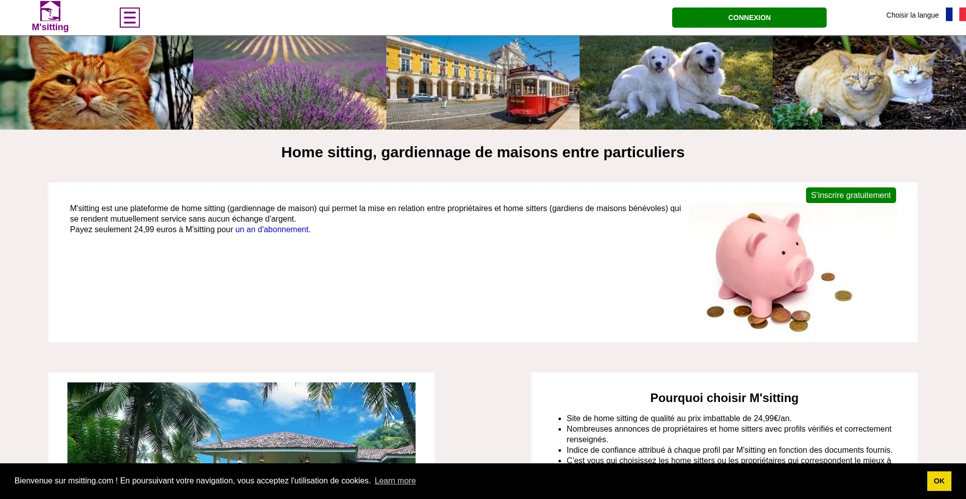 Ist Msitting.com sicher und vertrauenswürdig?