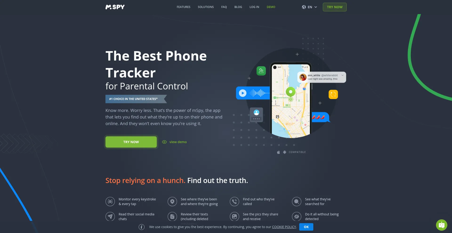 Website screenshot of Mspy.com