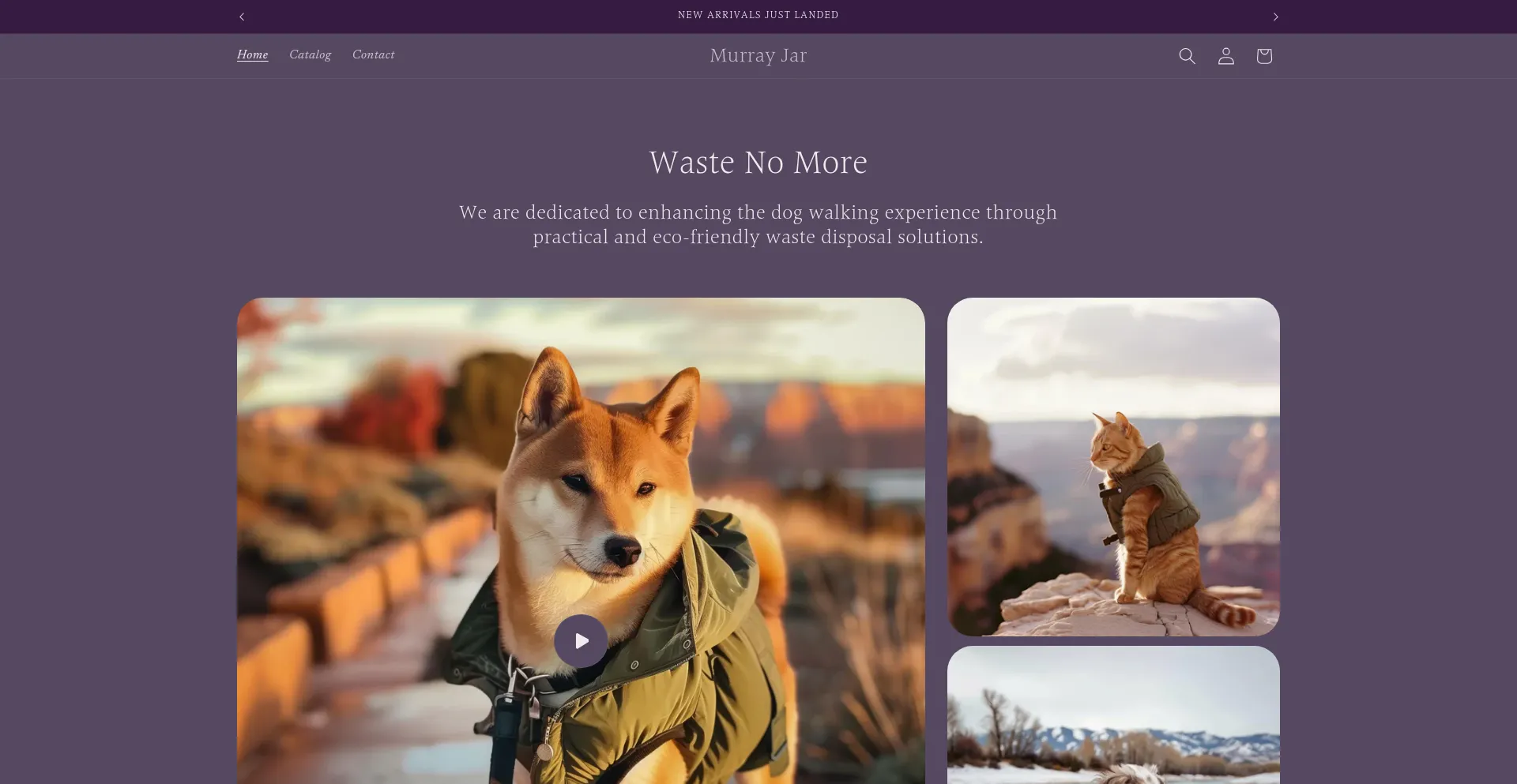 Website screenshot of Murrayjar.com