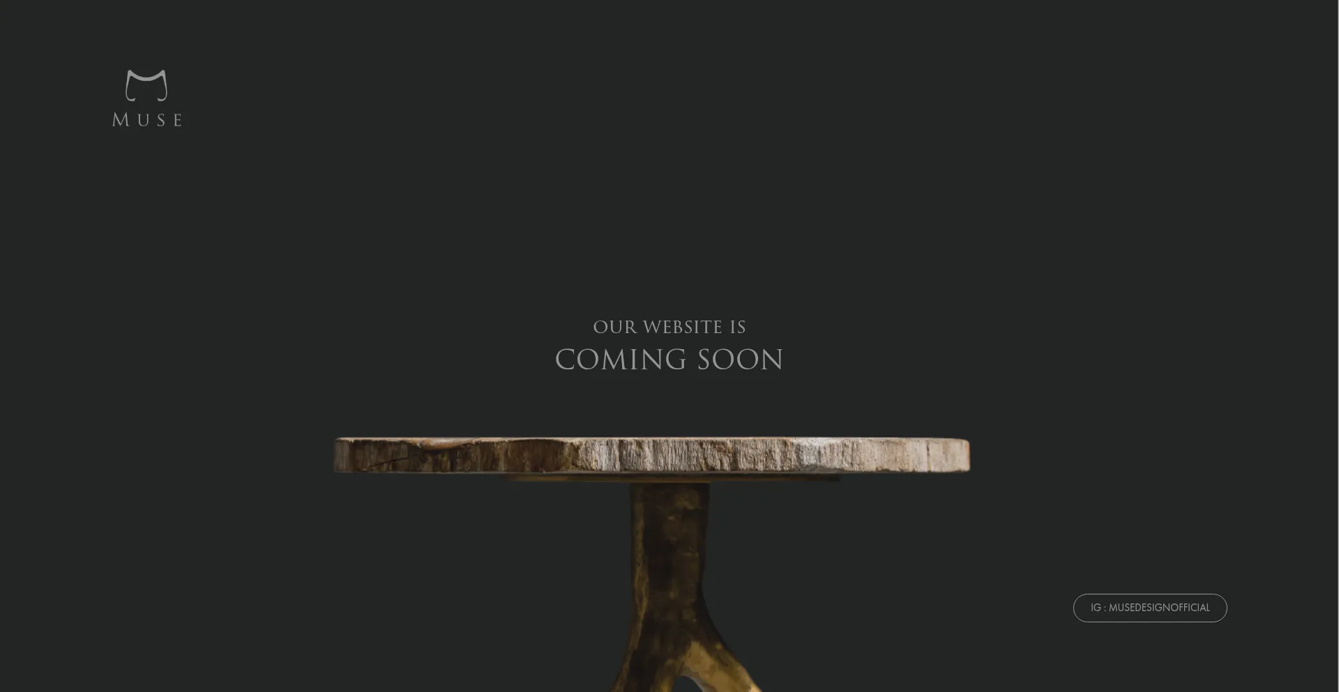 Website screenshot of Muse-th.com