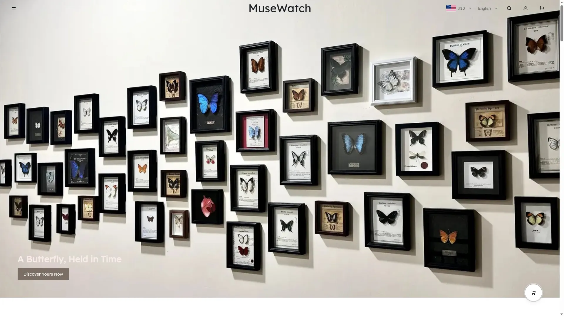 Musewatch.shop