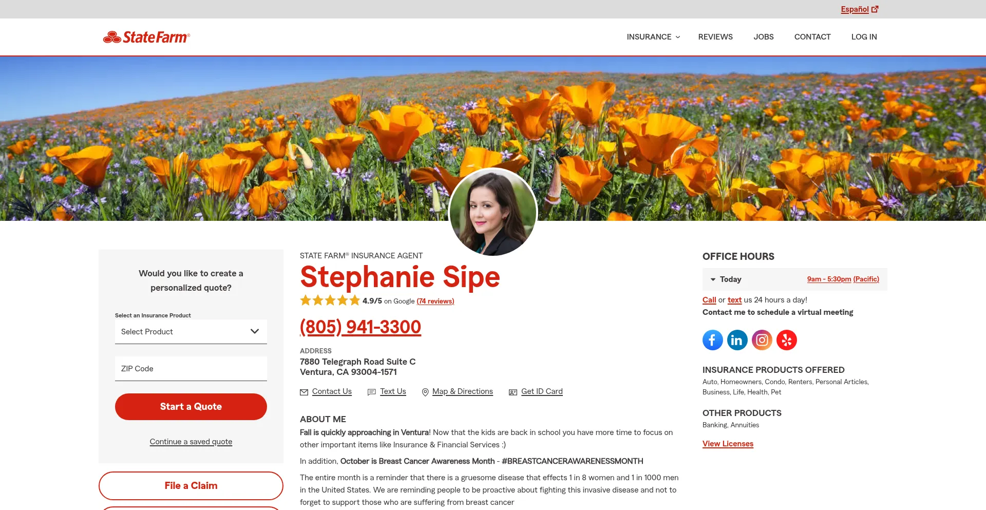 Myagentstephsipe.com