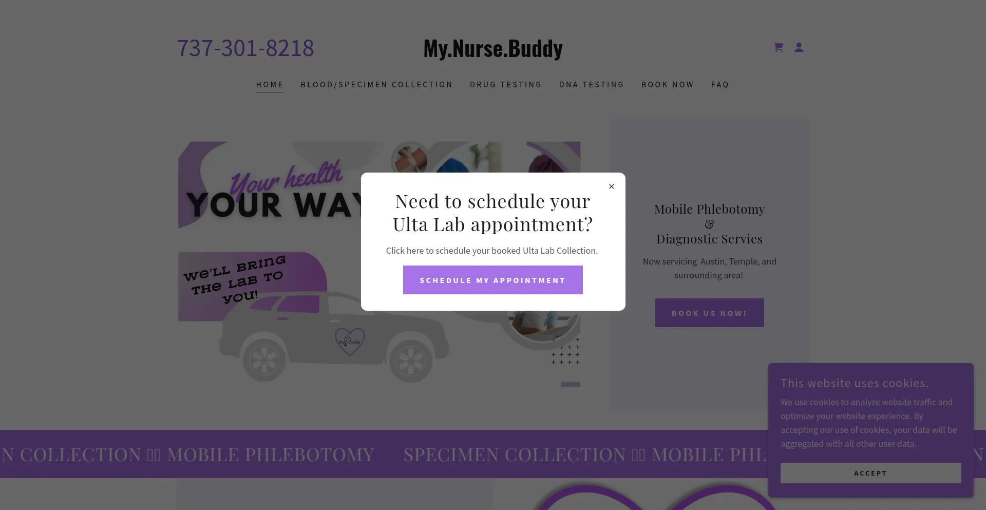 Mynursebuddy.com Screenshot