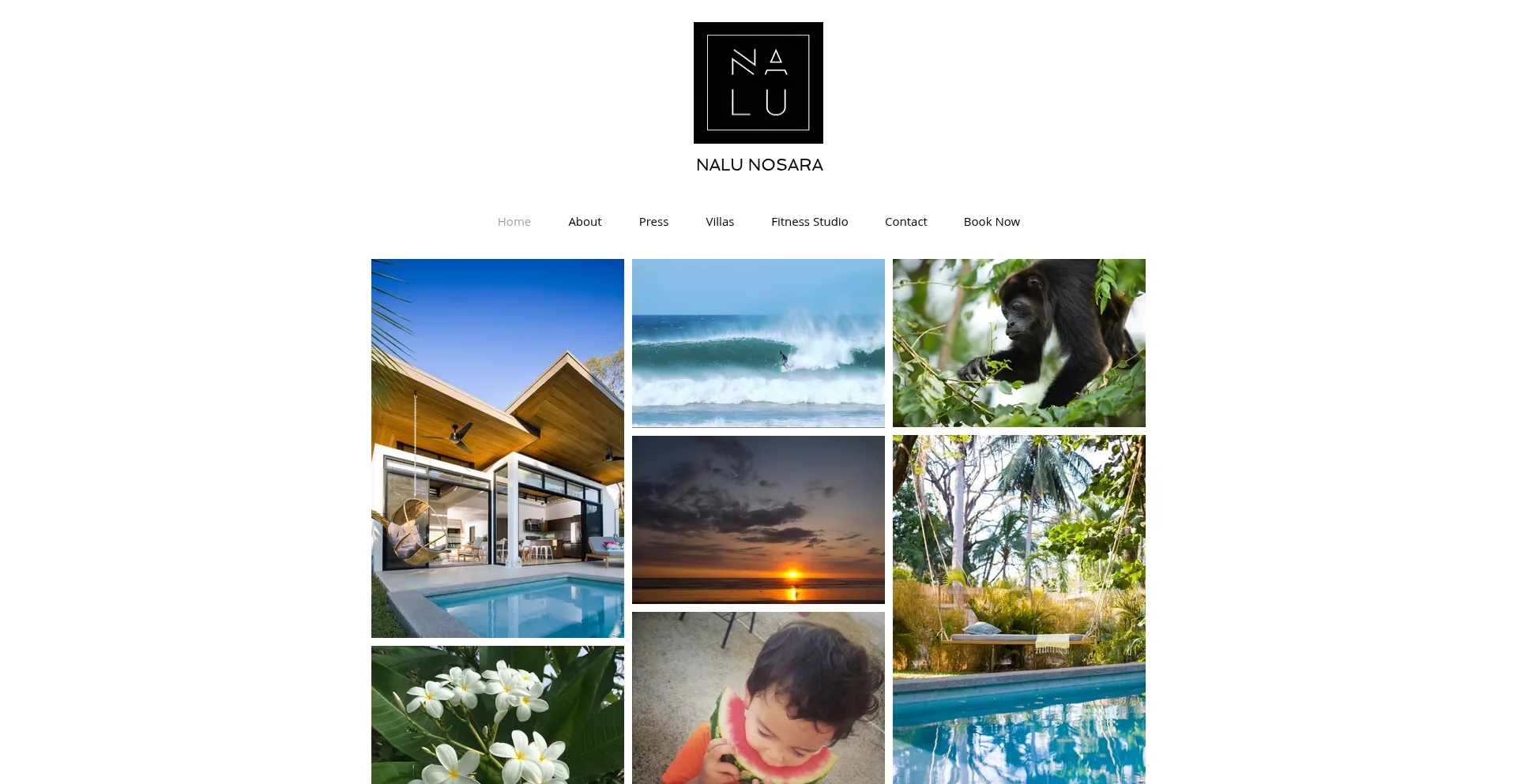 Nalunosara.com