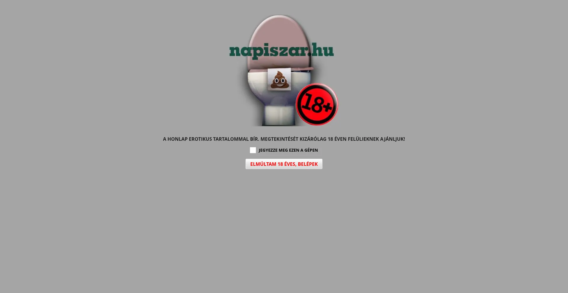 Website screenshot of Napiszar.hu