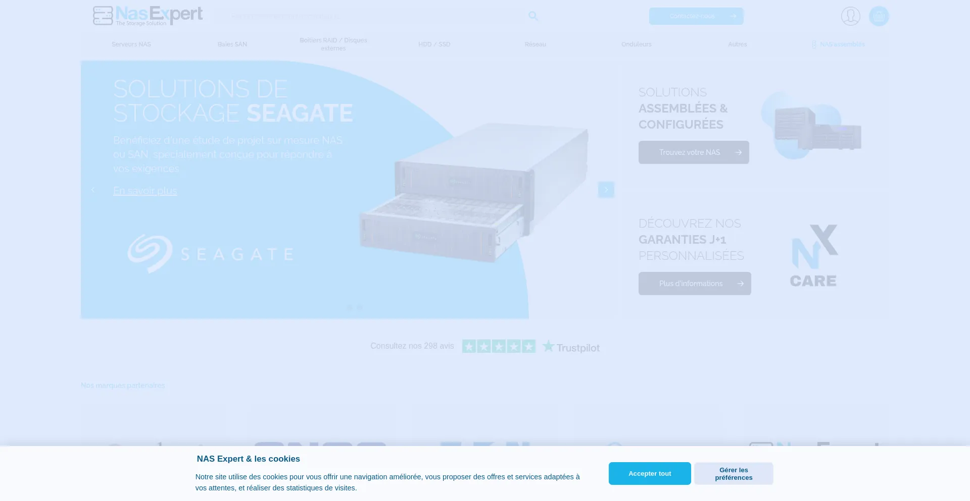 Website screenshot of Nasexpert.fr