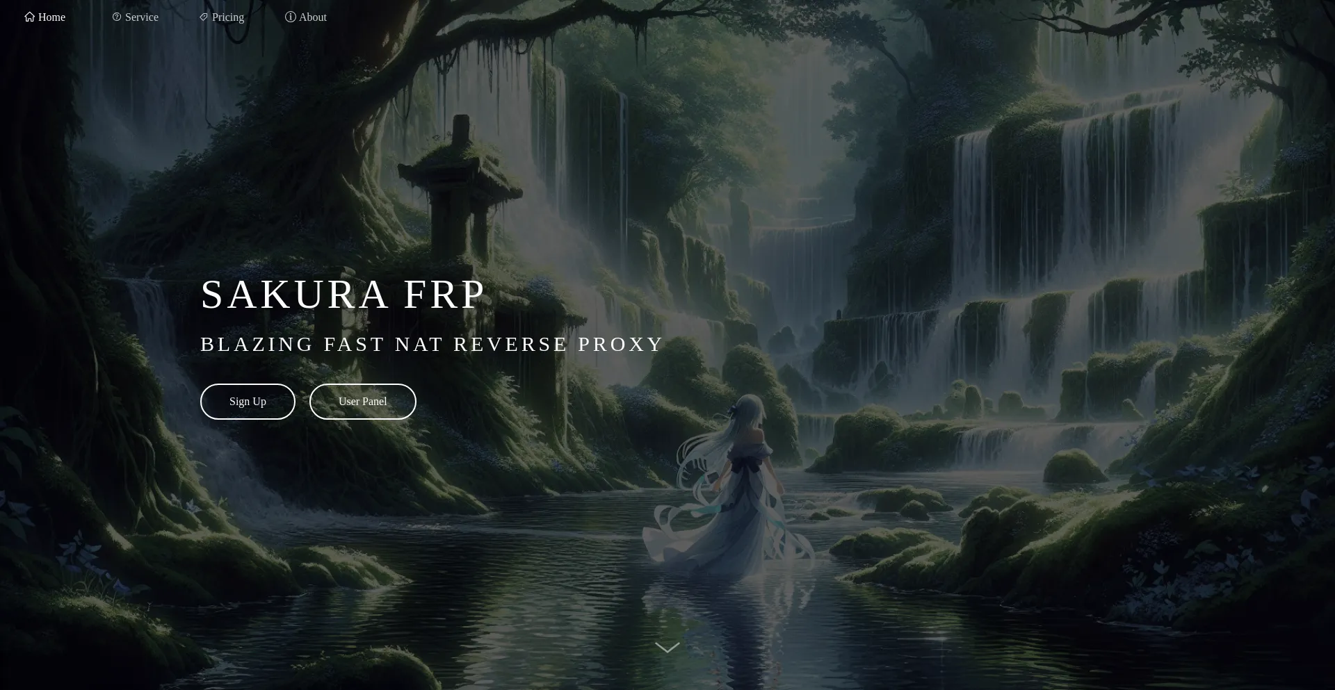 Website screenshot of Natfrp.com