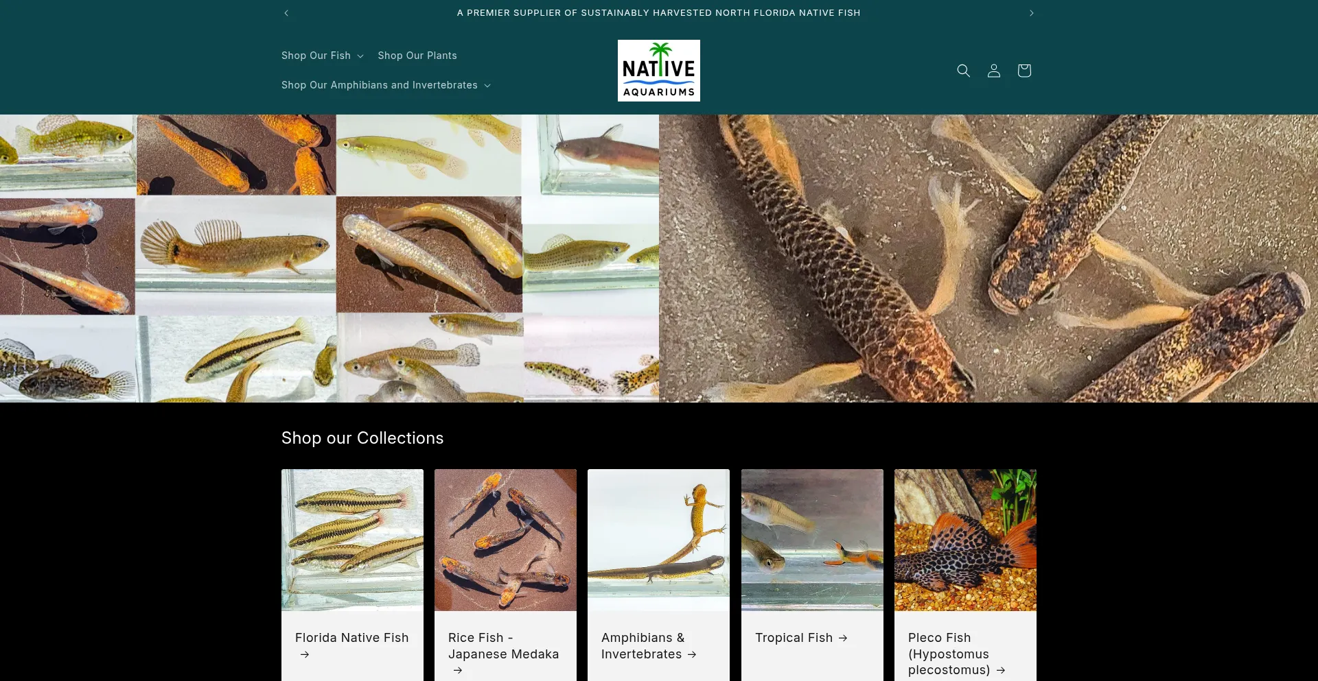 Nativeaquariums.com