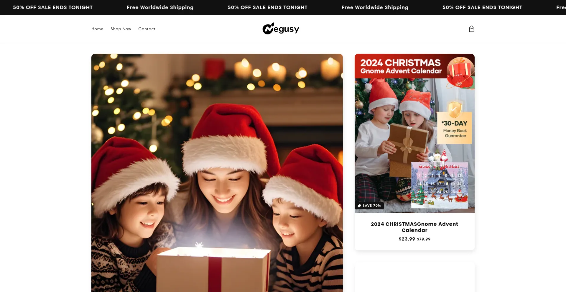 Website screenshot of Negusyonline.com