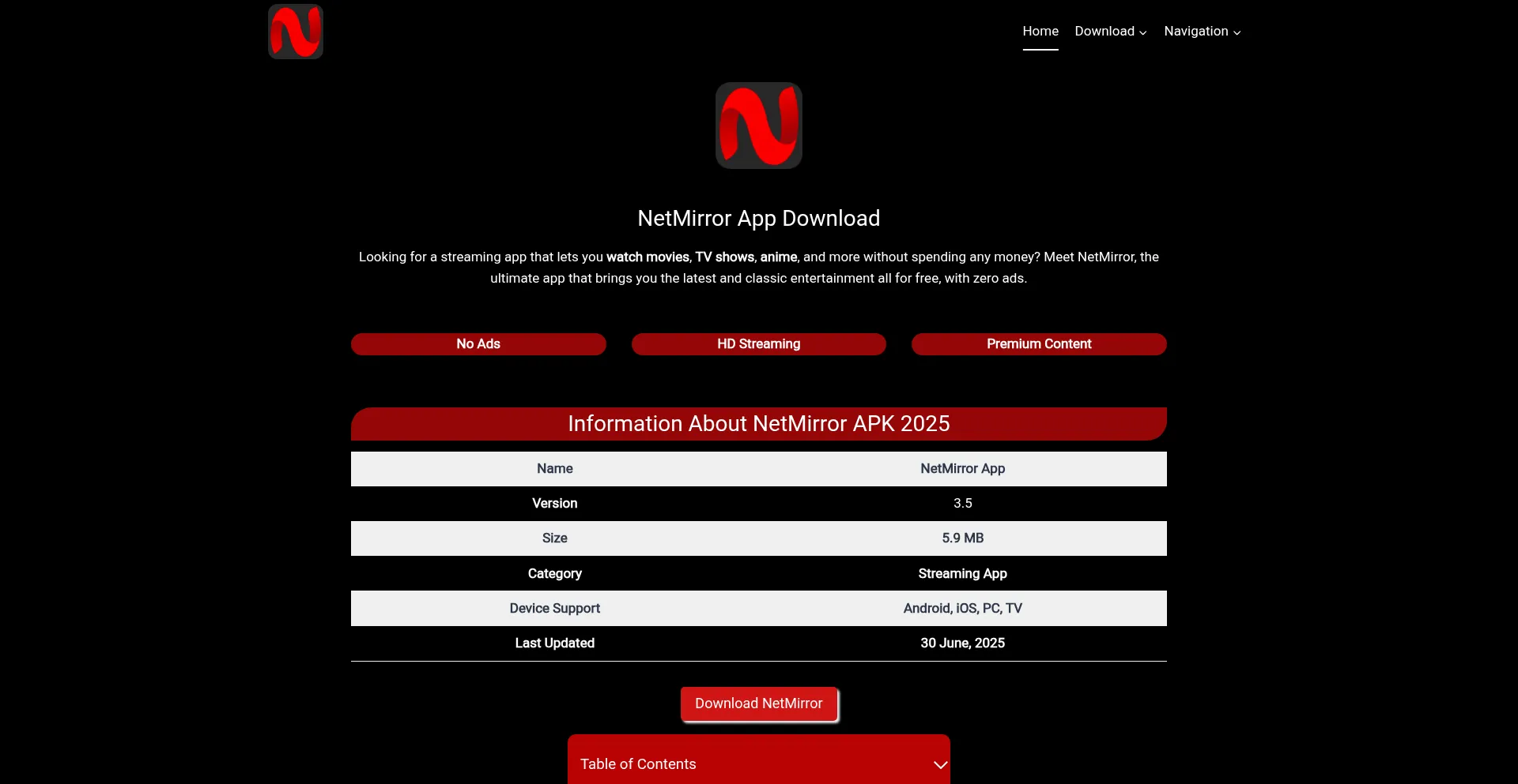 Website screenshot of Netmirrortv.com