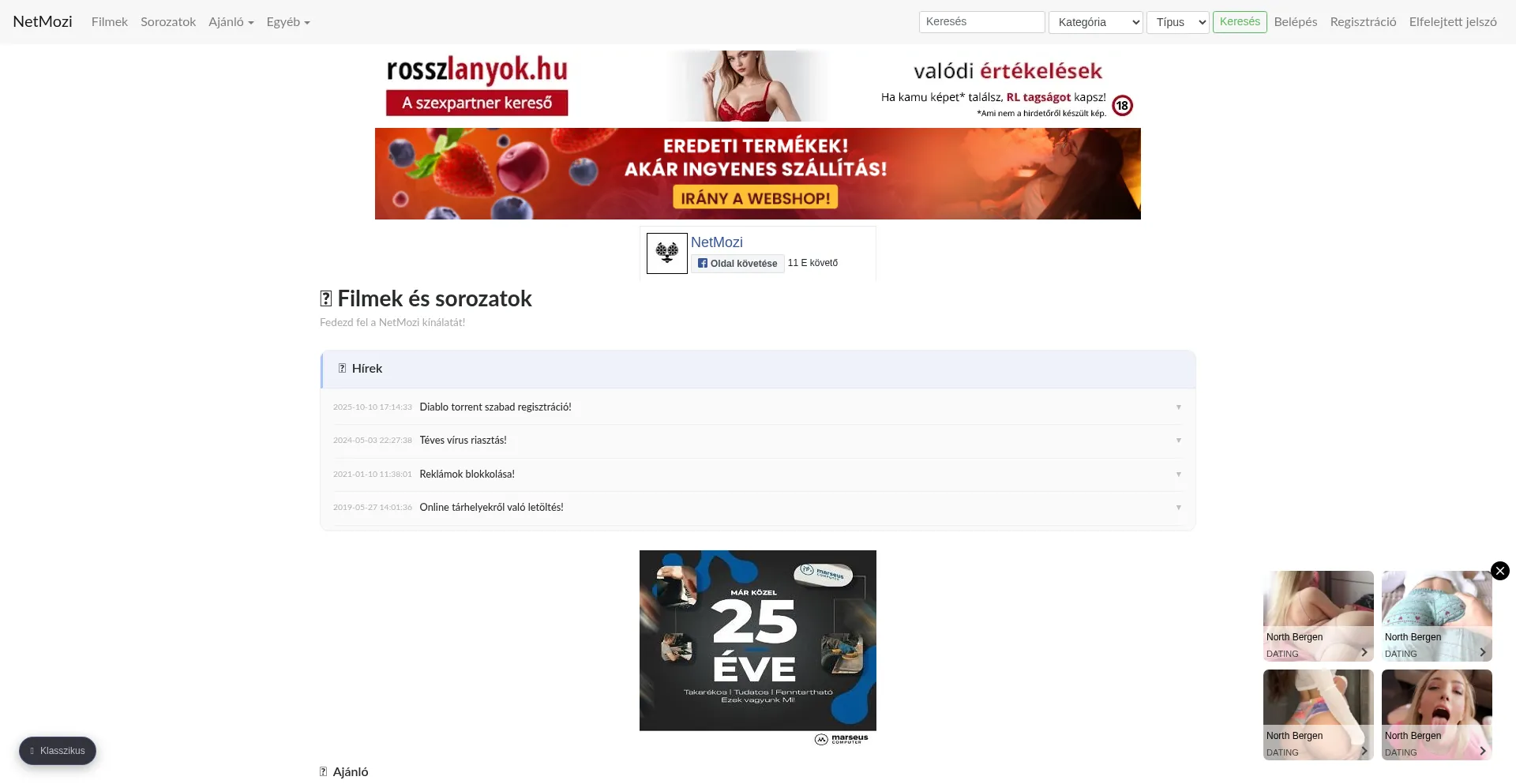Netmozi.com