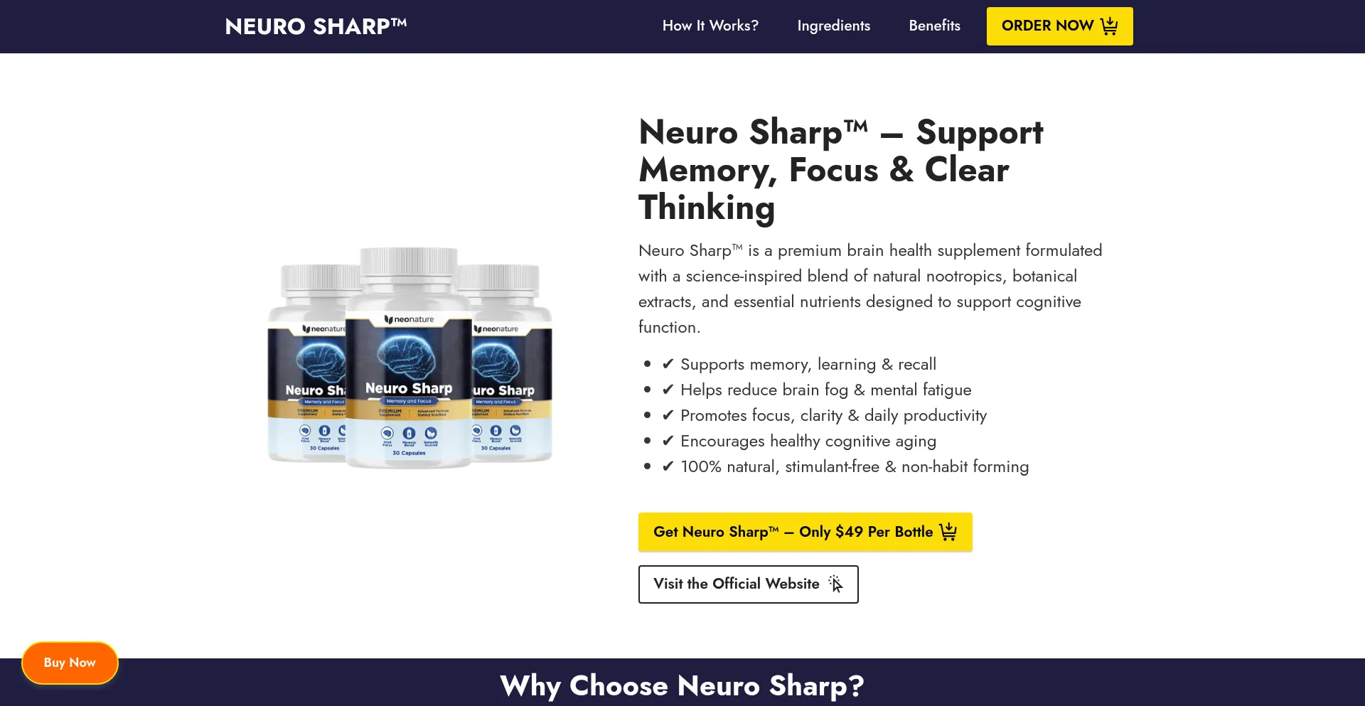 Neuro-neurosharp.com