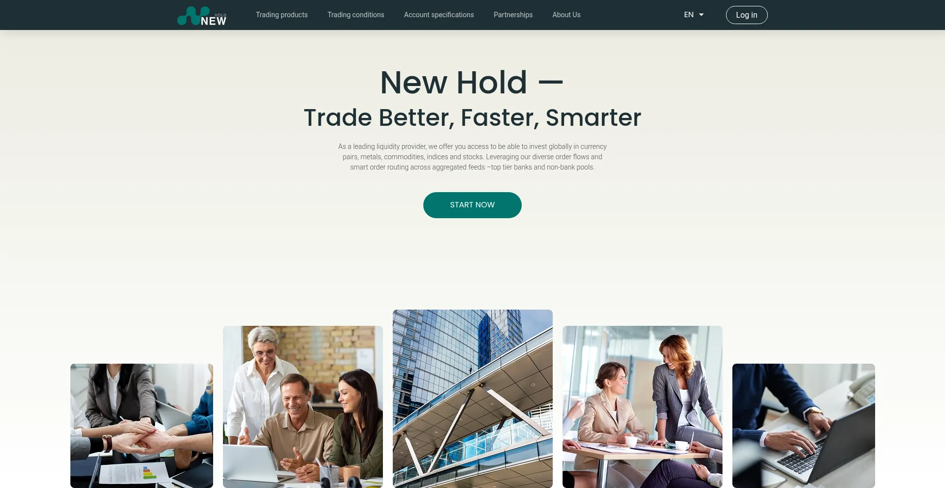 Website screenshot of Newhold.net