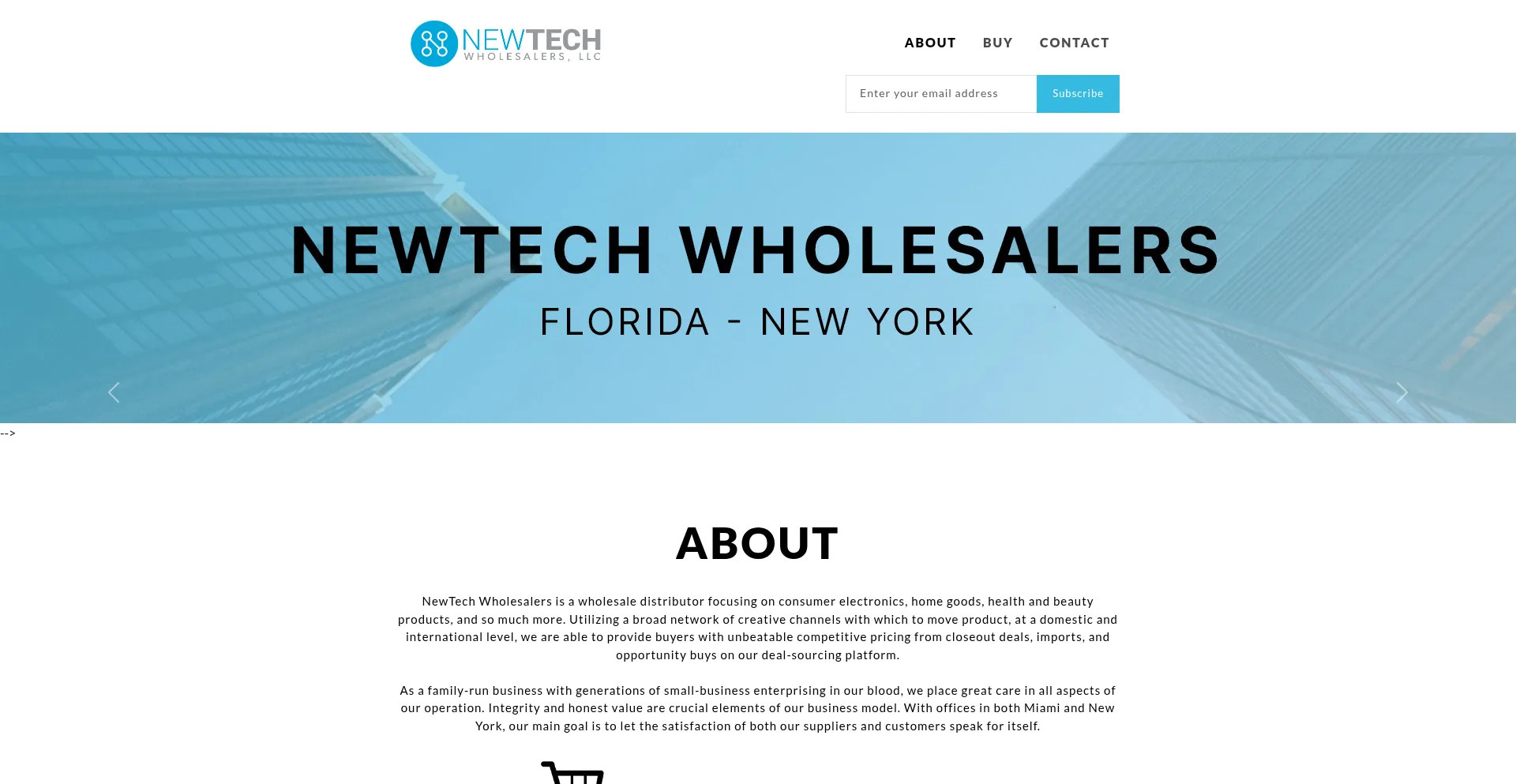 Website screenshot of Newtechwholesalers.com