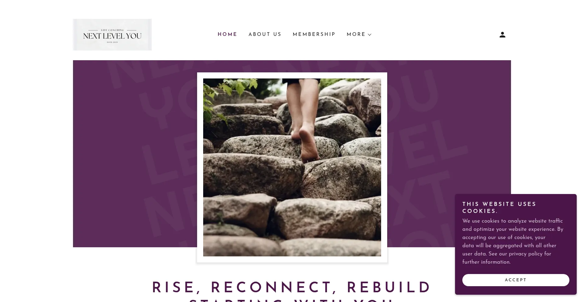 Website screenshot of Nextlevelyou.ca