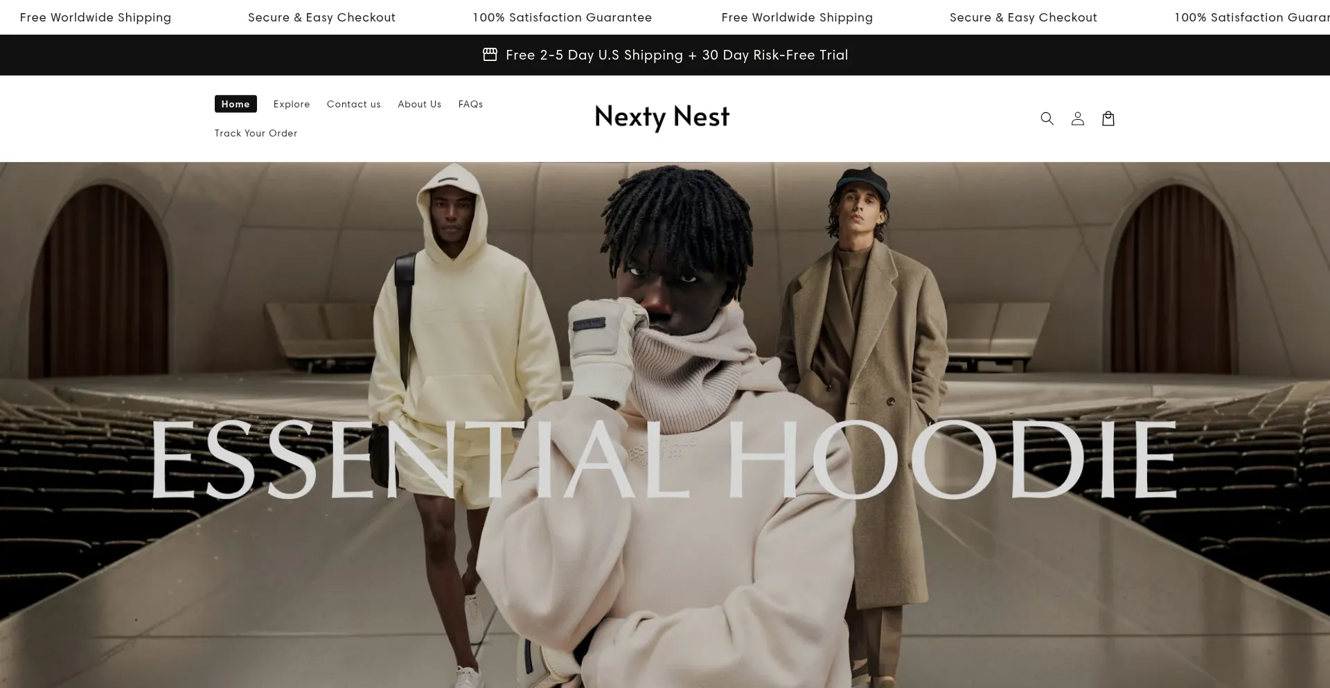 Website screenshot of Nextynest.com