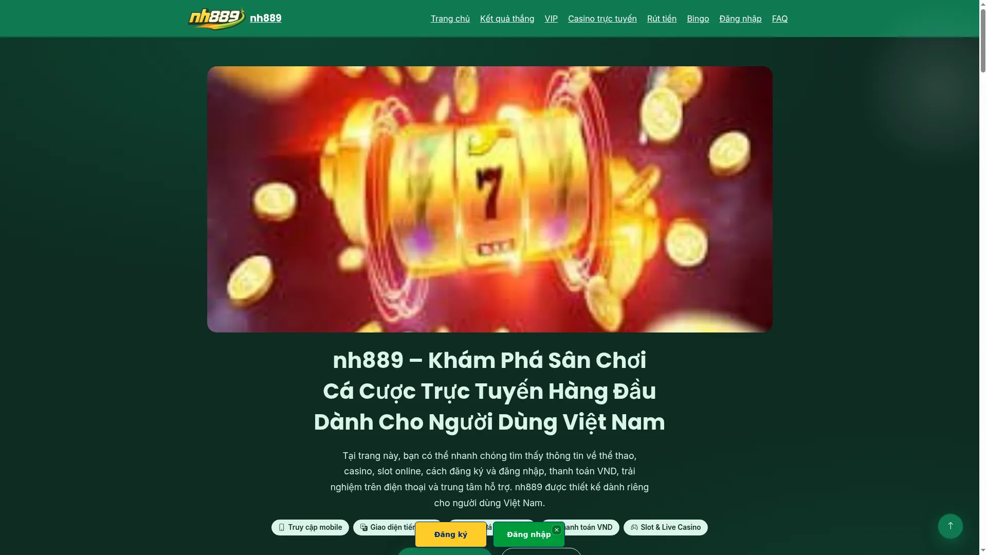 Nh889.fun