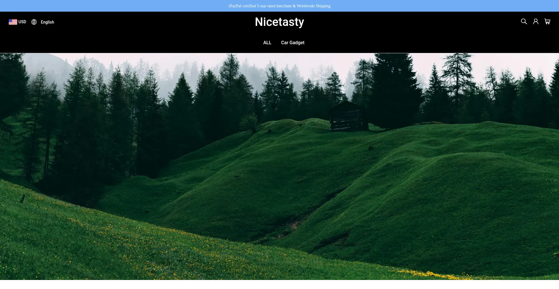 Website screenshot of Nicetasty.com
