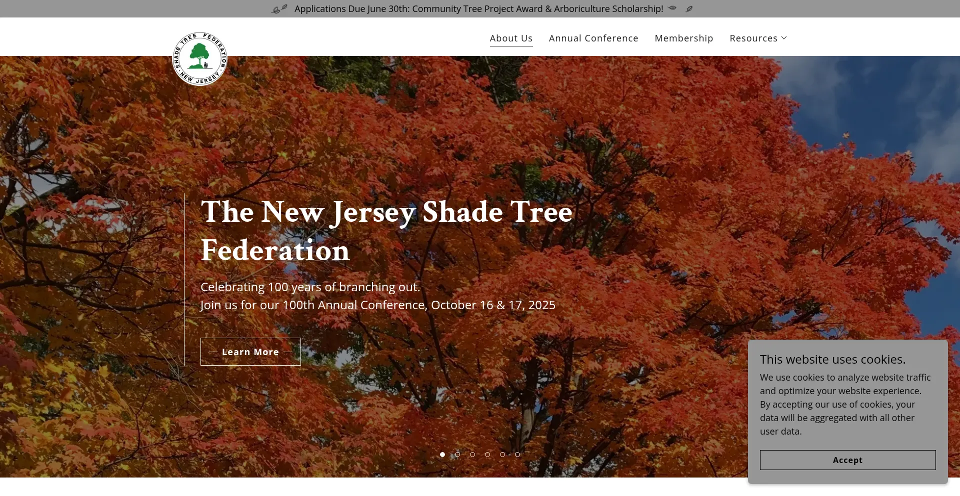 Website screenshot of Njstf.org