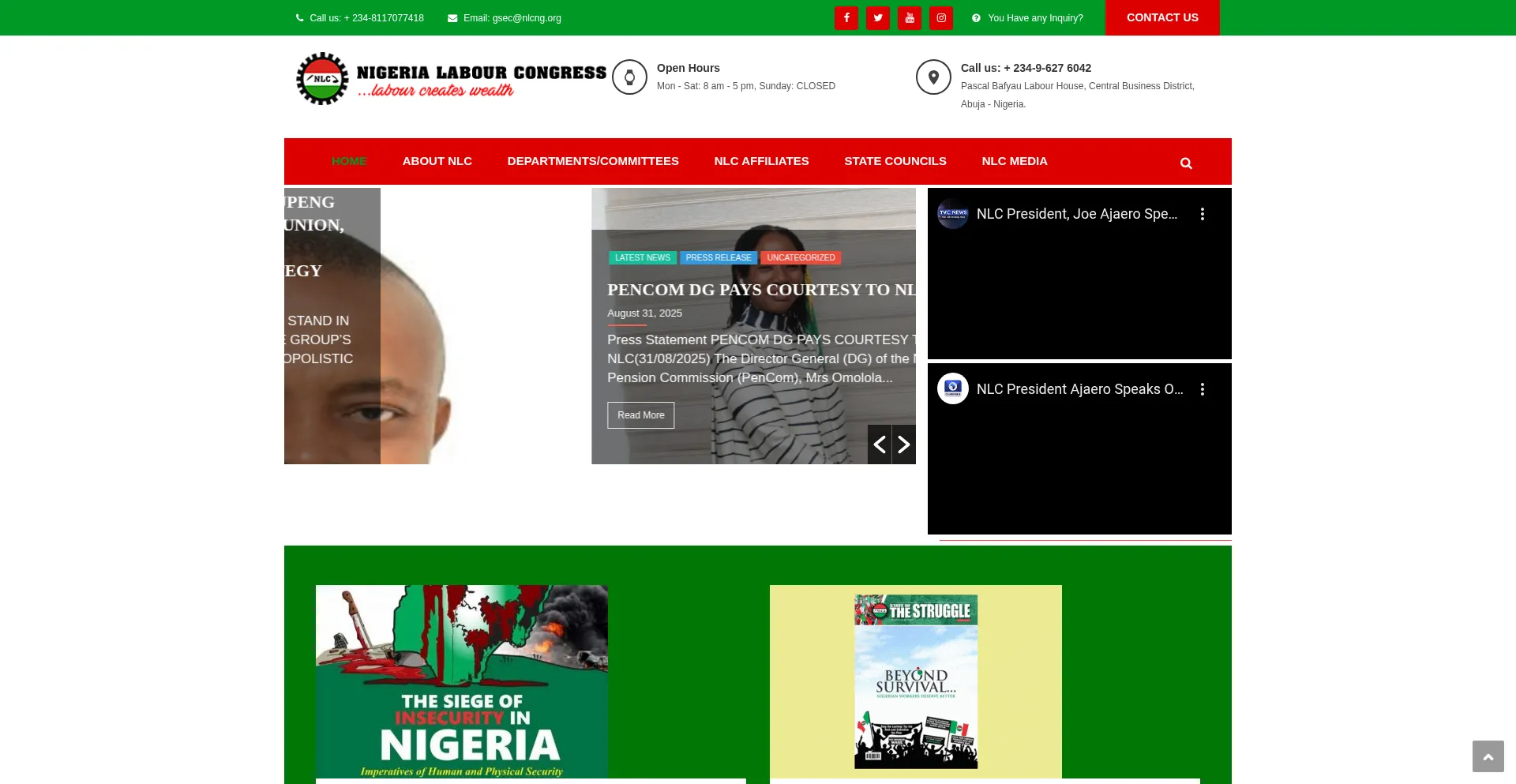 Website screenshot of Nlcng.org