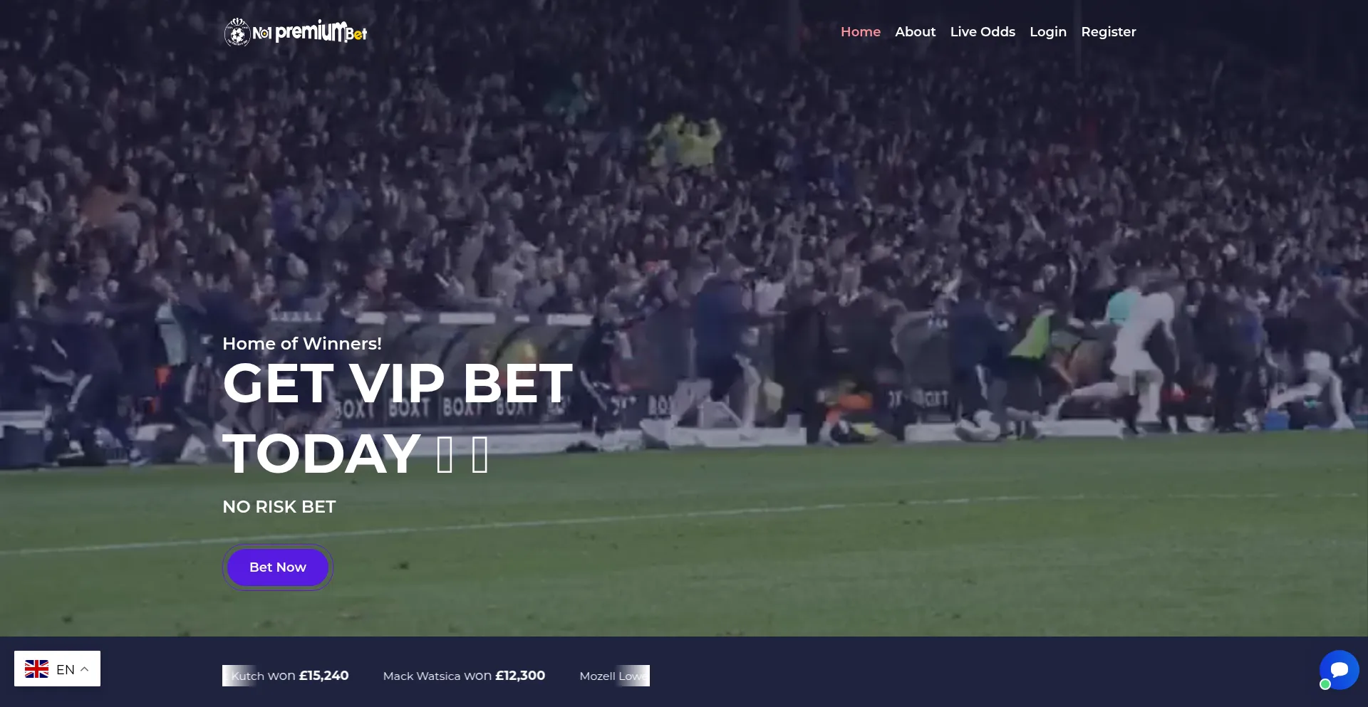Website screenshot of No1premiumbet.com
