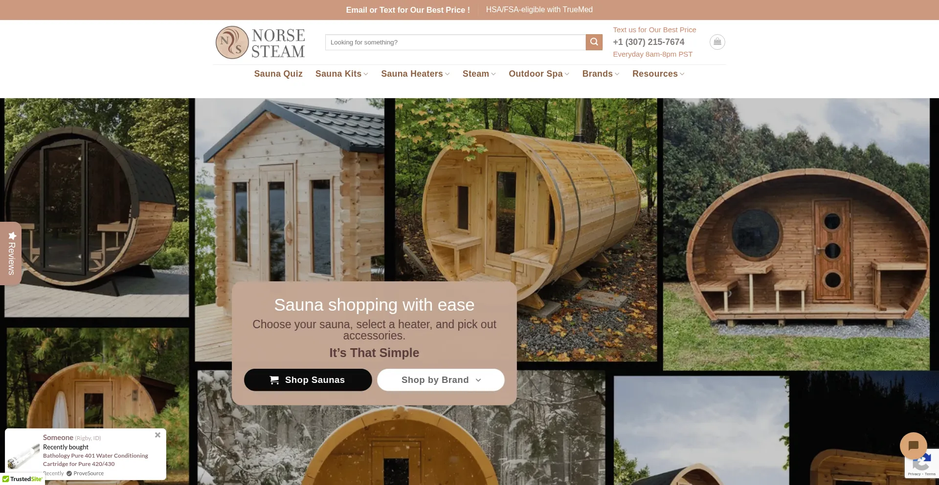 Norsesteam.com