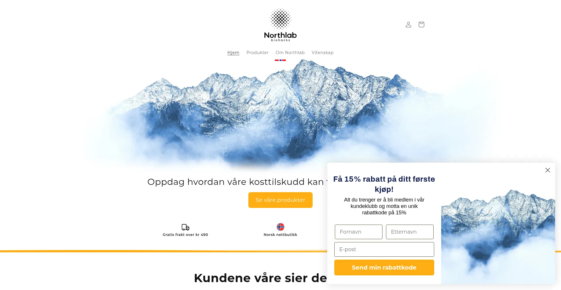 Website screenshot of Northlab.no