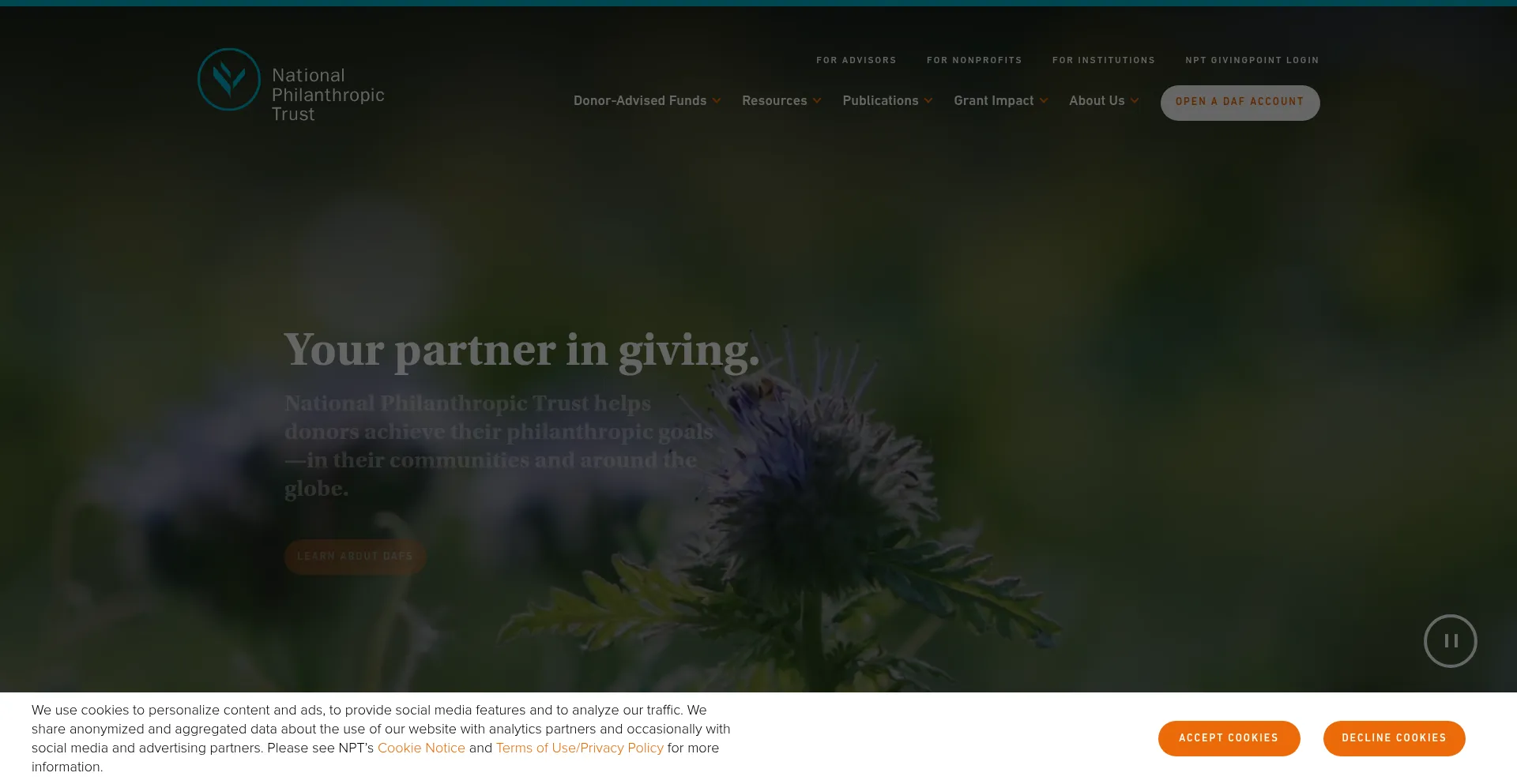 Website screenshot of Nptrust.org