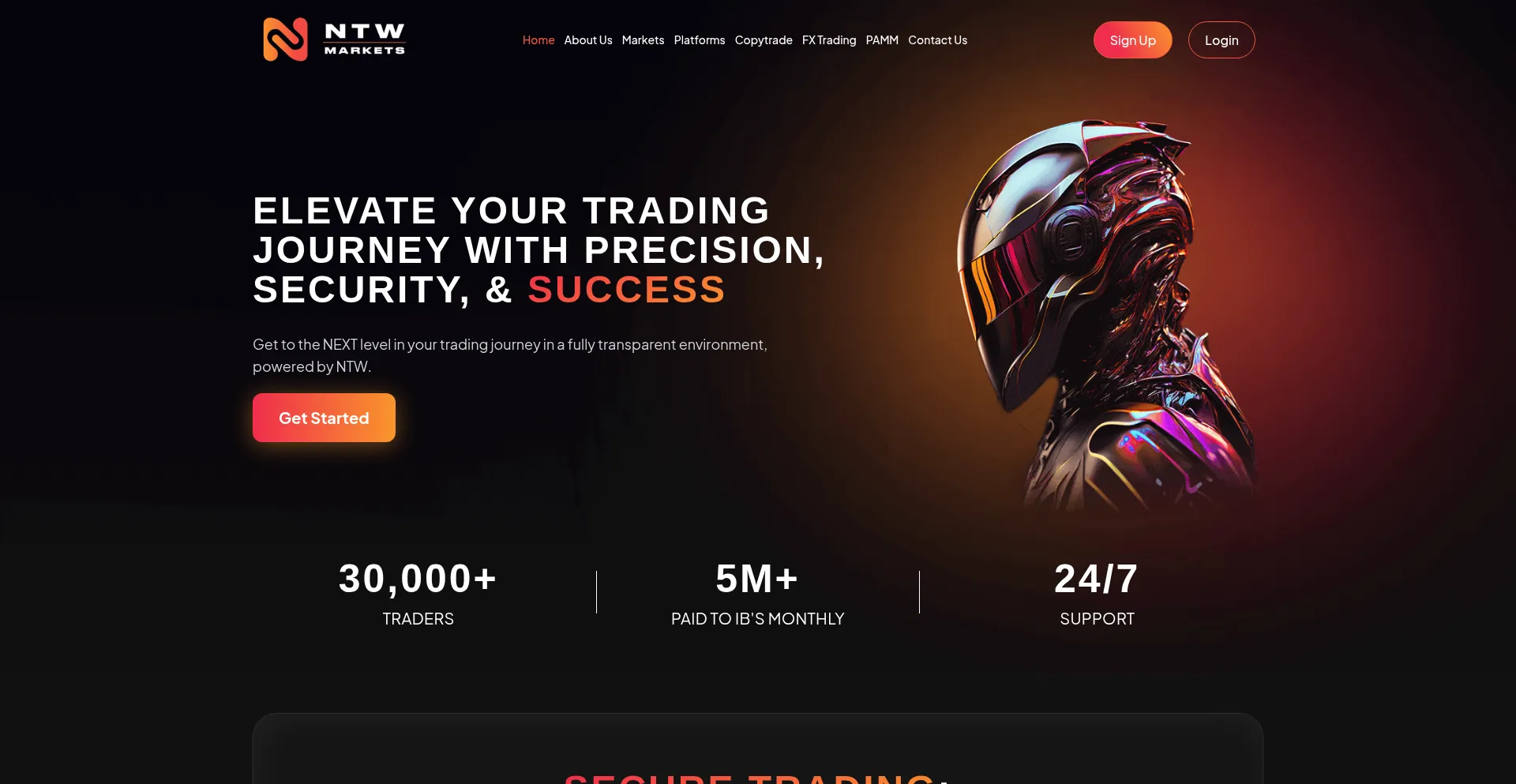 Ist Ntwmarkets.com sicher und vertrauenswürdig?