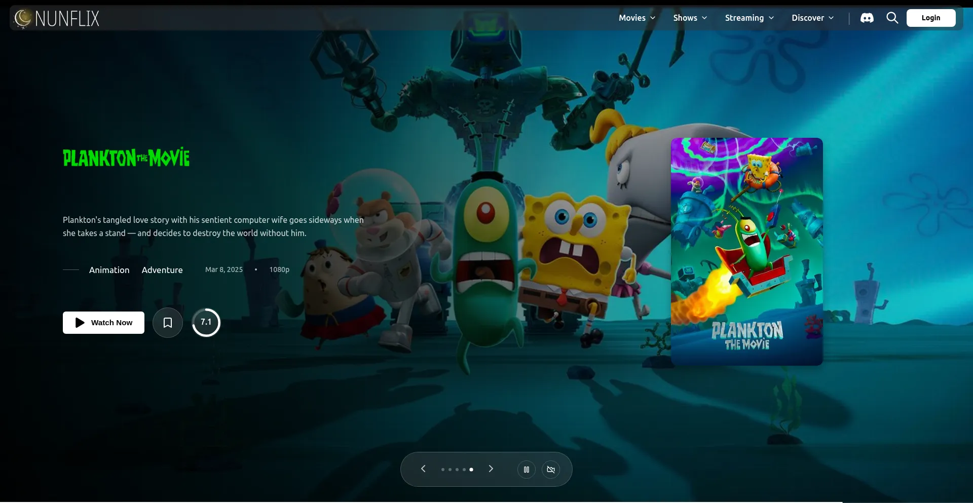 Website screenshot of Nunflix.org