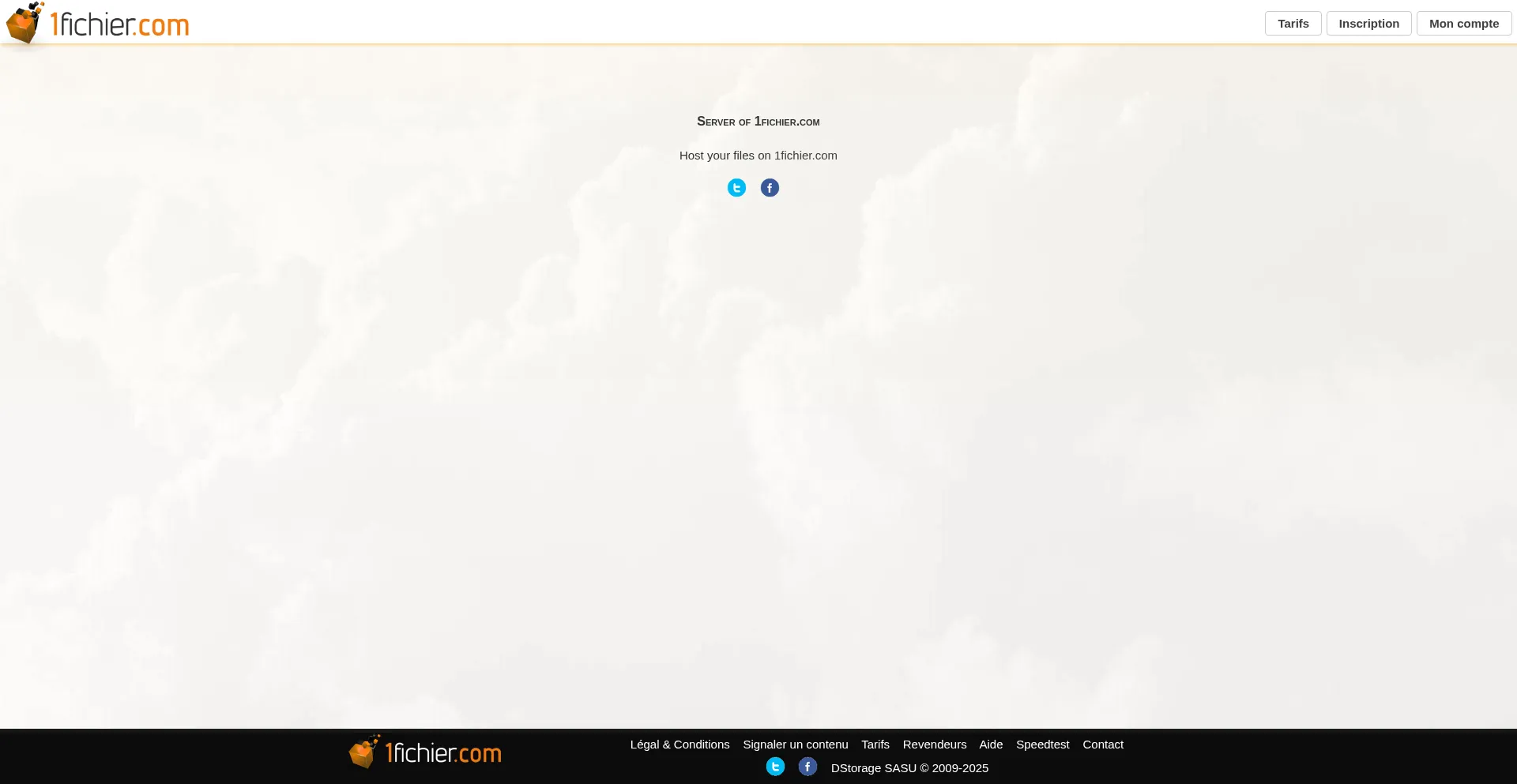 Website screenshot of O-1.1fichier.com