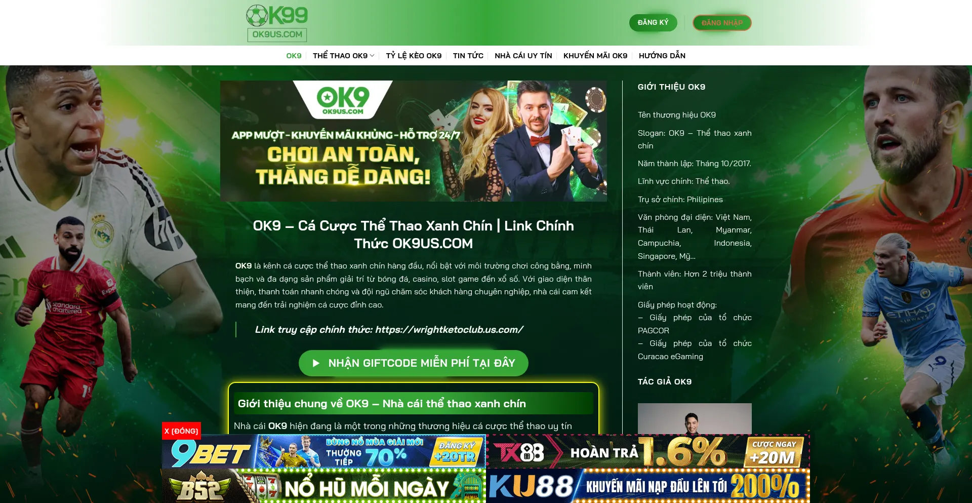 Website screenshot of Ok9us.com