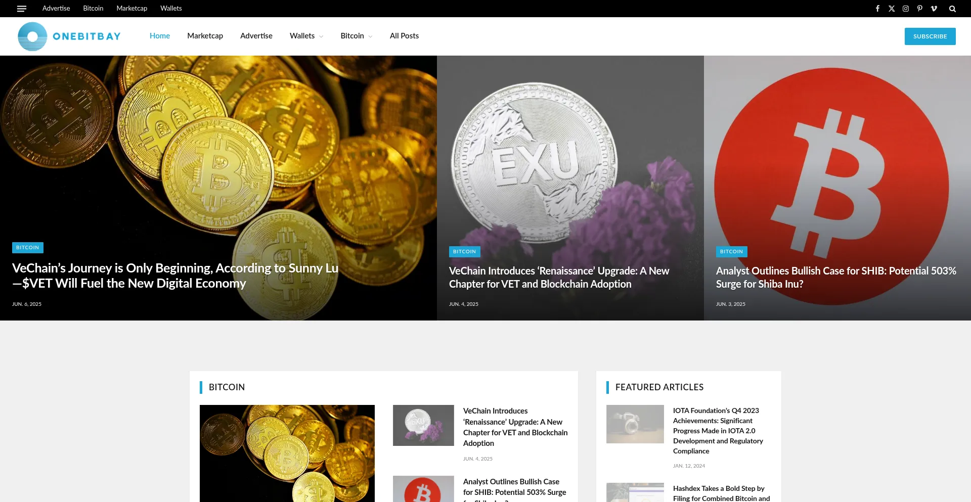 Website screenshot of Onebitbay.com
