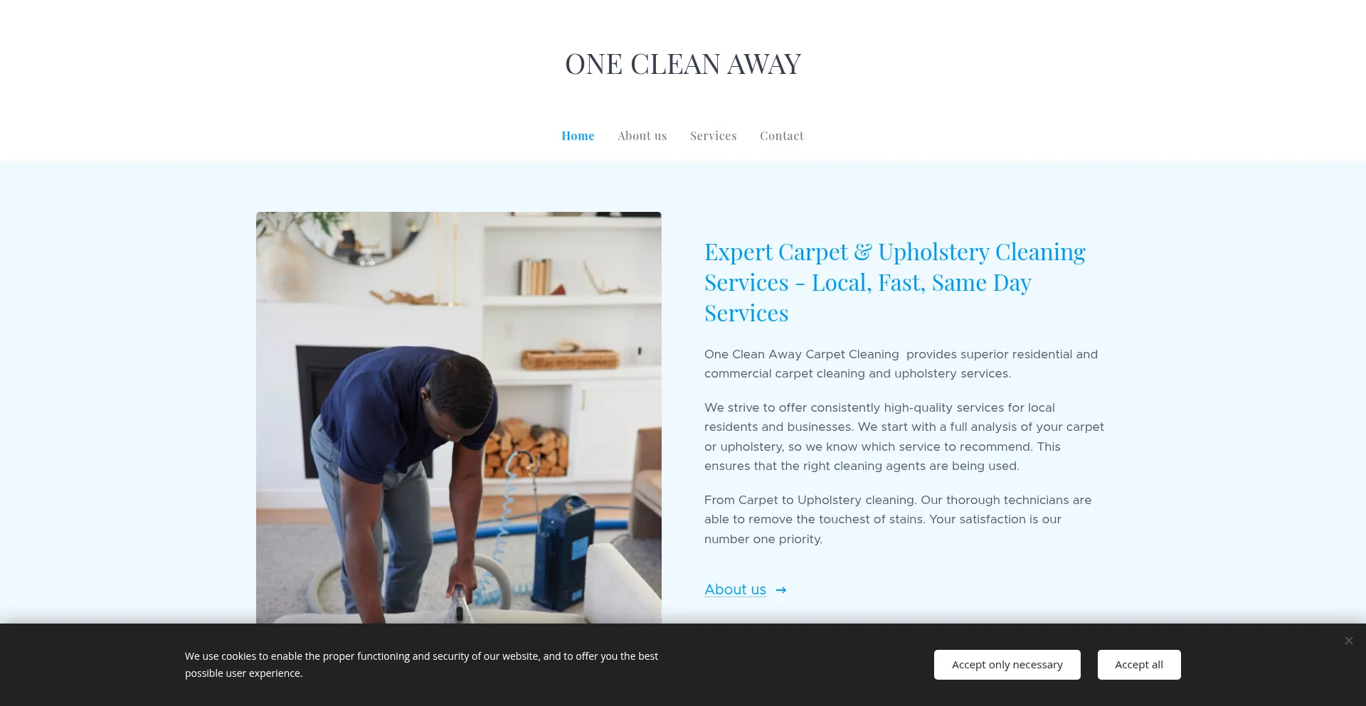 Website screenshot of Onecleanaway.com