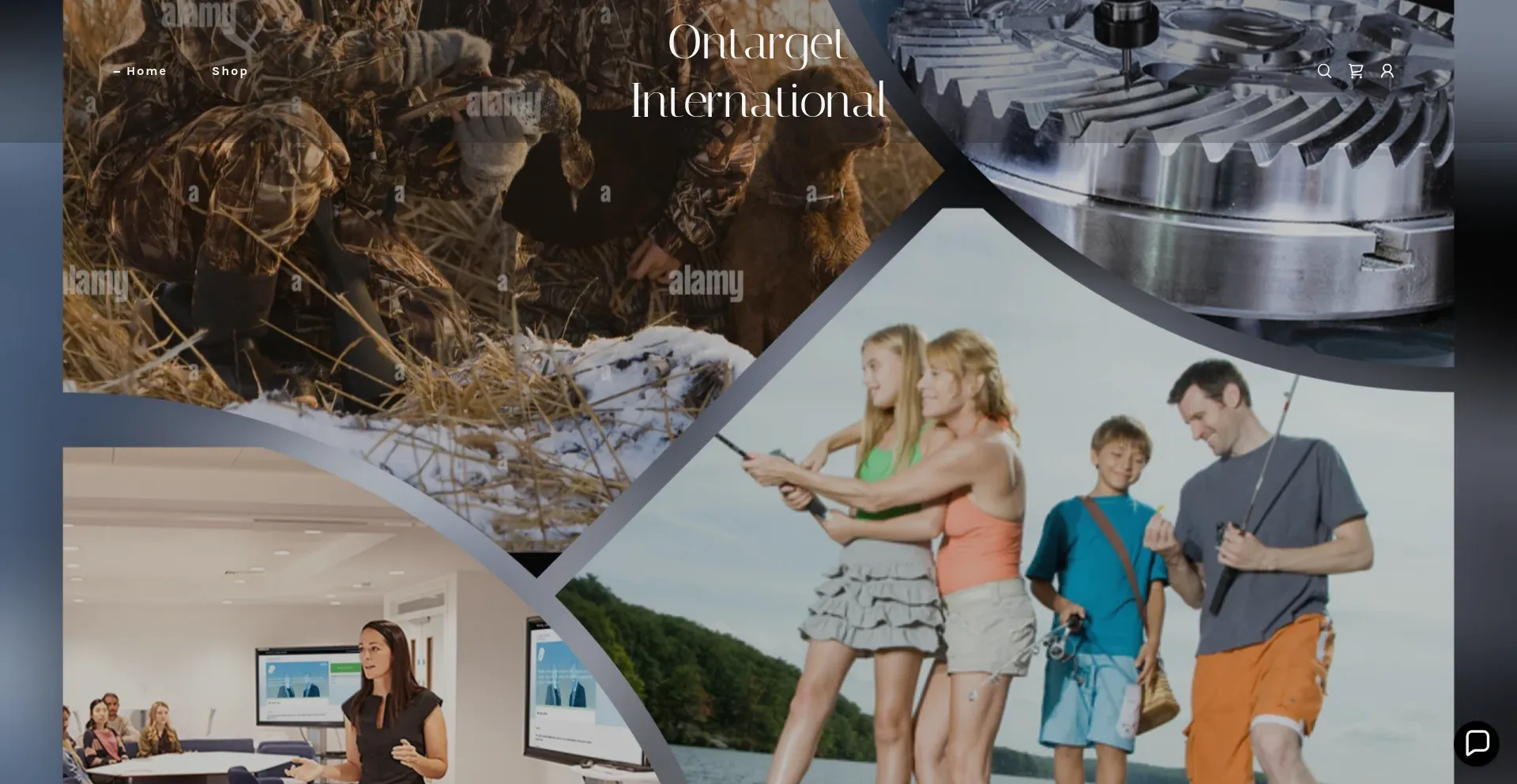 Ontarget-international.com