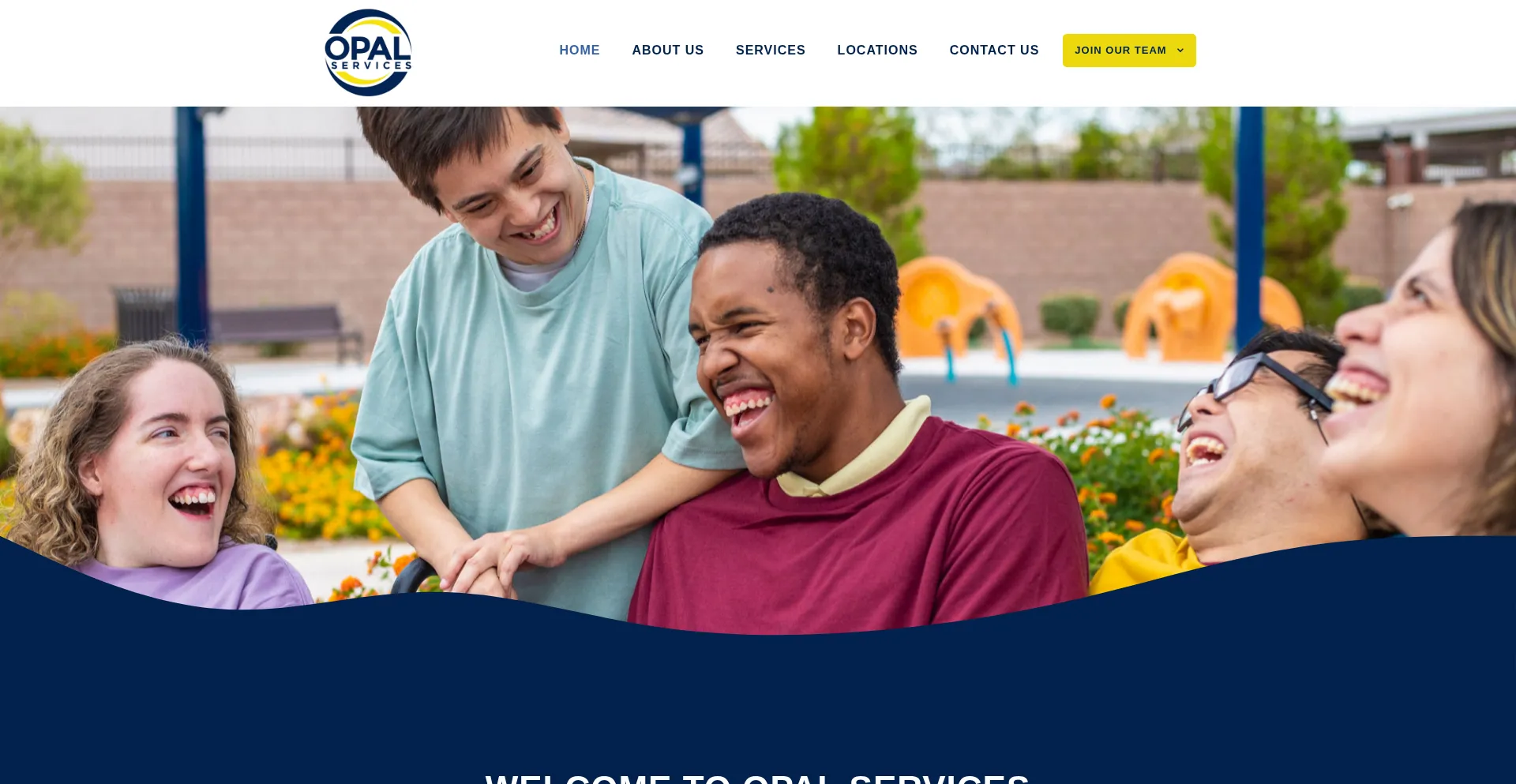 Opalservicesmn.com