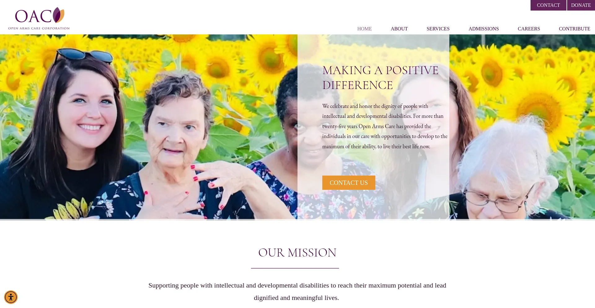 Website screenshot of Openarmscare.org