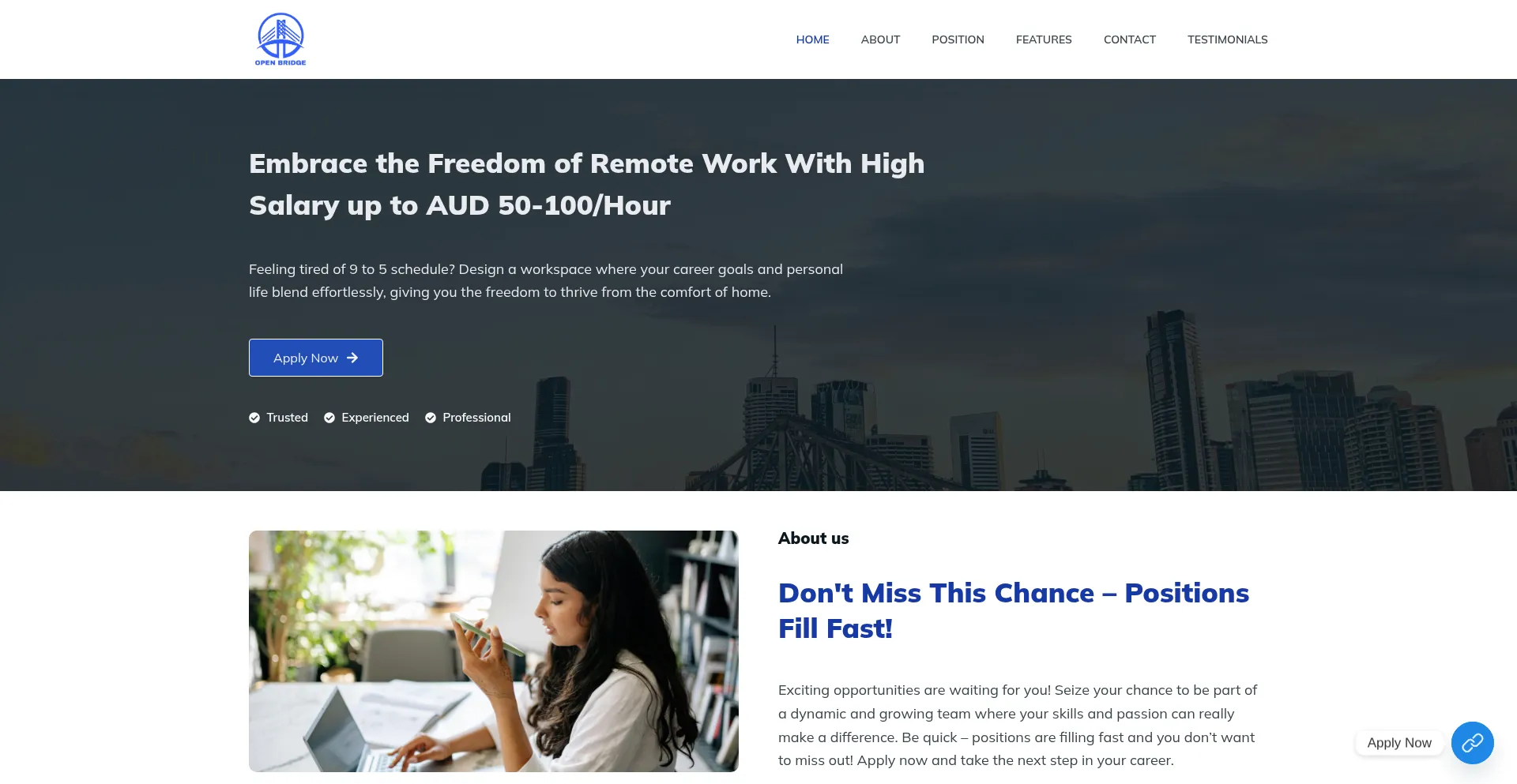 Website screenshot of Openbridgehub.com