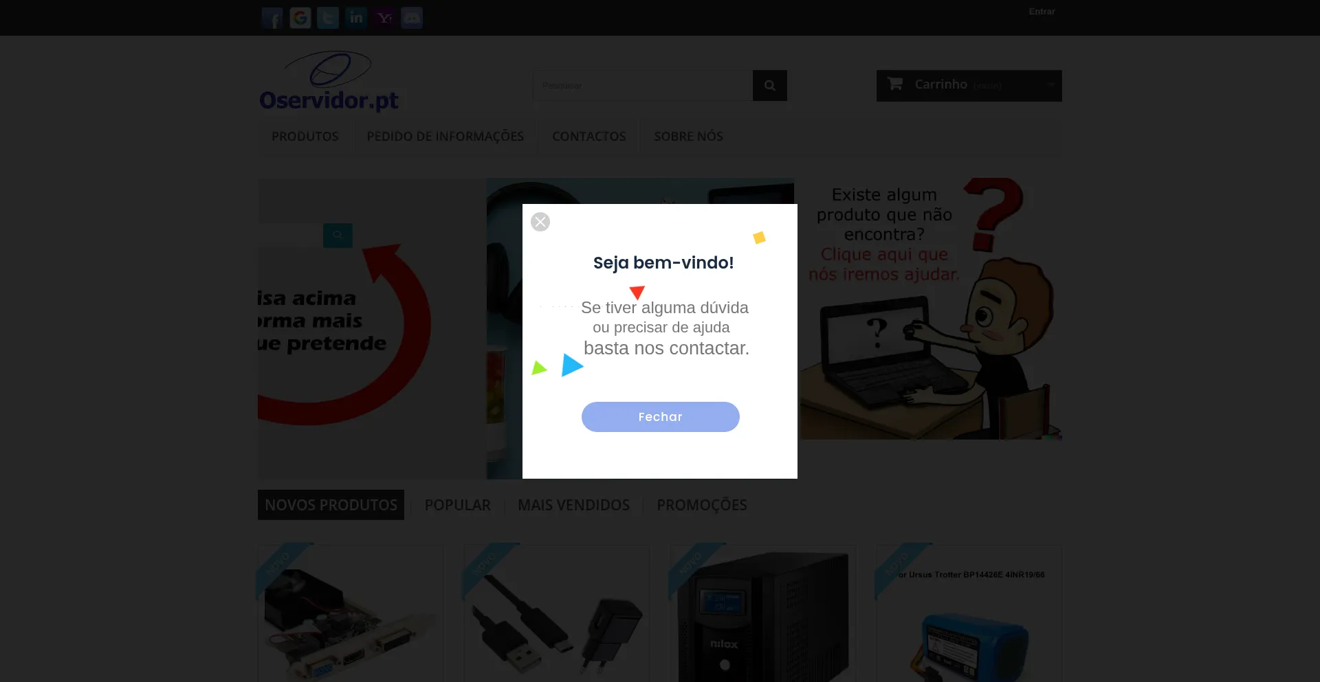 Website screenshot of Oservidor.pt