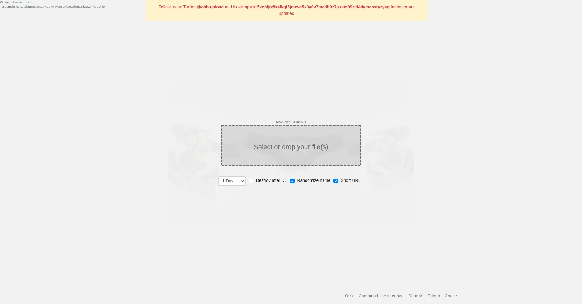 Website screenshot of Oshi.at