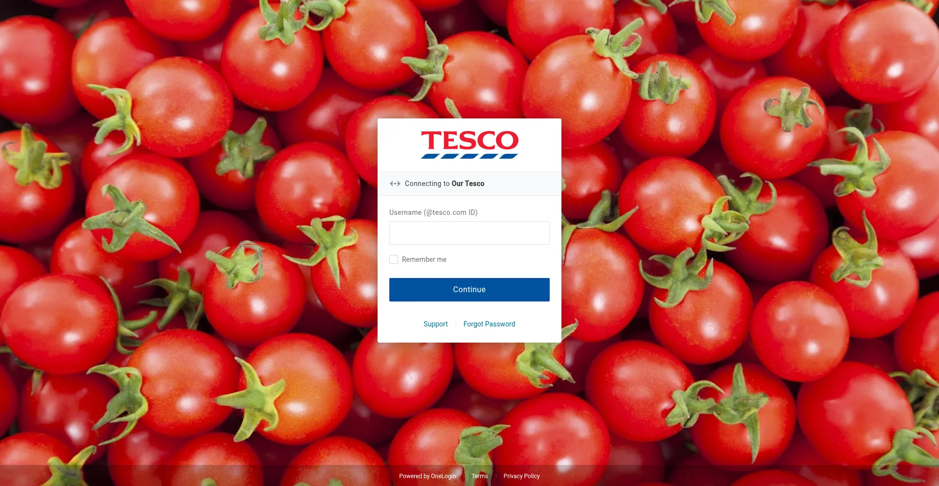 Website screenshot of Ourtesco.com