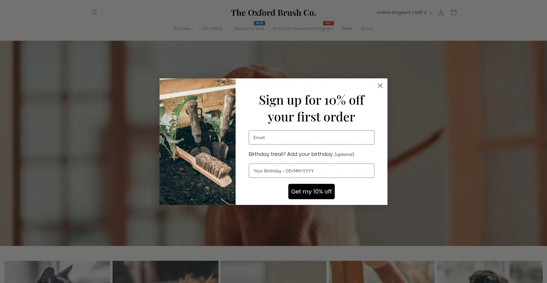 Oxfordbrushcompany.com