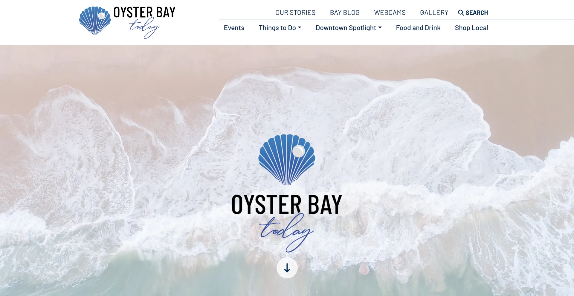 Website screenshot of Oysterbaytoday.com