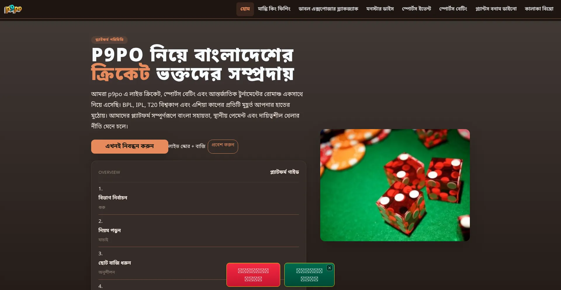 P9po.com