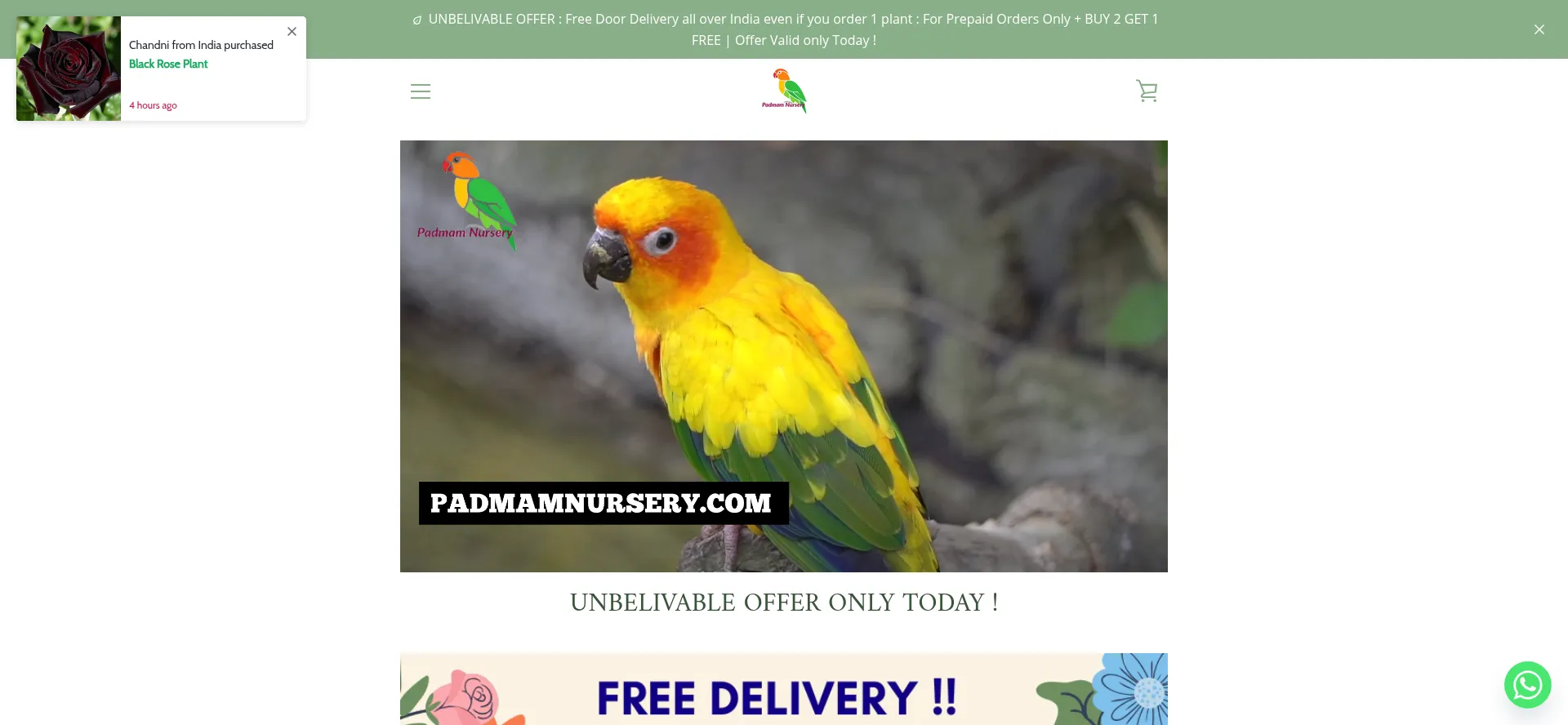 Padmamnursery.com