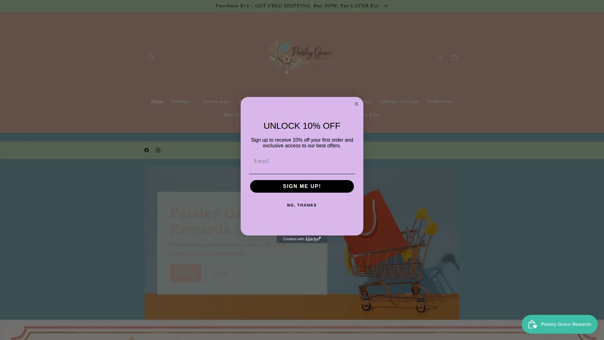 Paisleygraceandco.com