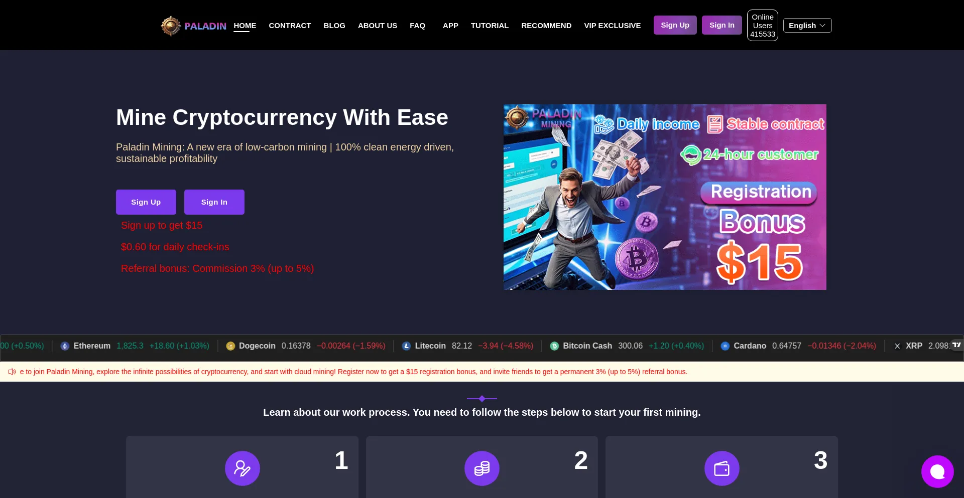 Website screenshot of Paladinmining.com