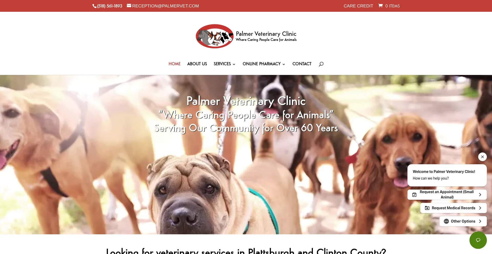 Palmervet.com