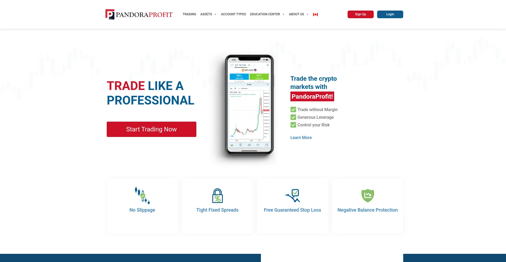 Website screenshot of Pandoraprofit.com