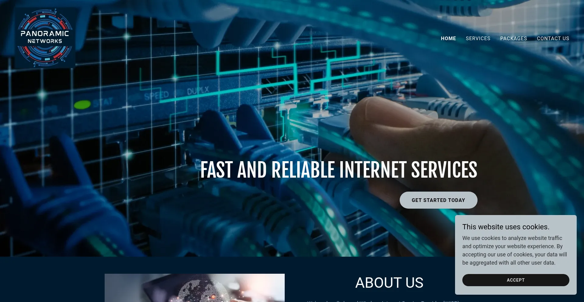 Website screenshot of Panoramicnetworks.com